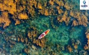 Lướt Ván SUP Chơi gì ở Quy Nhơn?