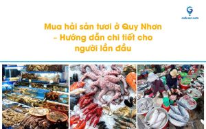 Mua hải sản tươi ở Quy Nhơn – Hướng dẫn chi tiết cho người lần đầu