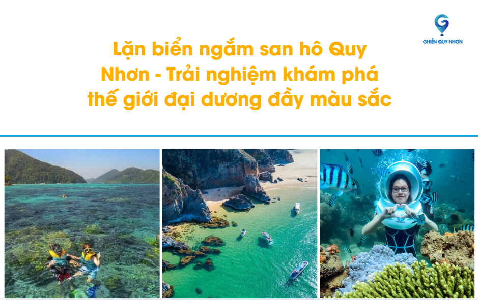Lặn biển ngắm san hô Quy Nhơn - Trải nghiệm khám phá thế giới đại dương đầy màu sắc