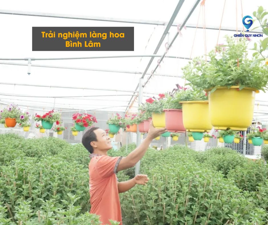 Trải nghiệm làng hoa Bình Lâm thủ công tại Quy Nhơn